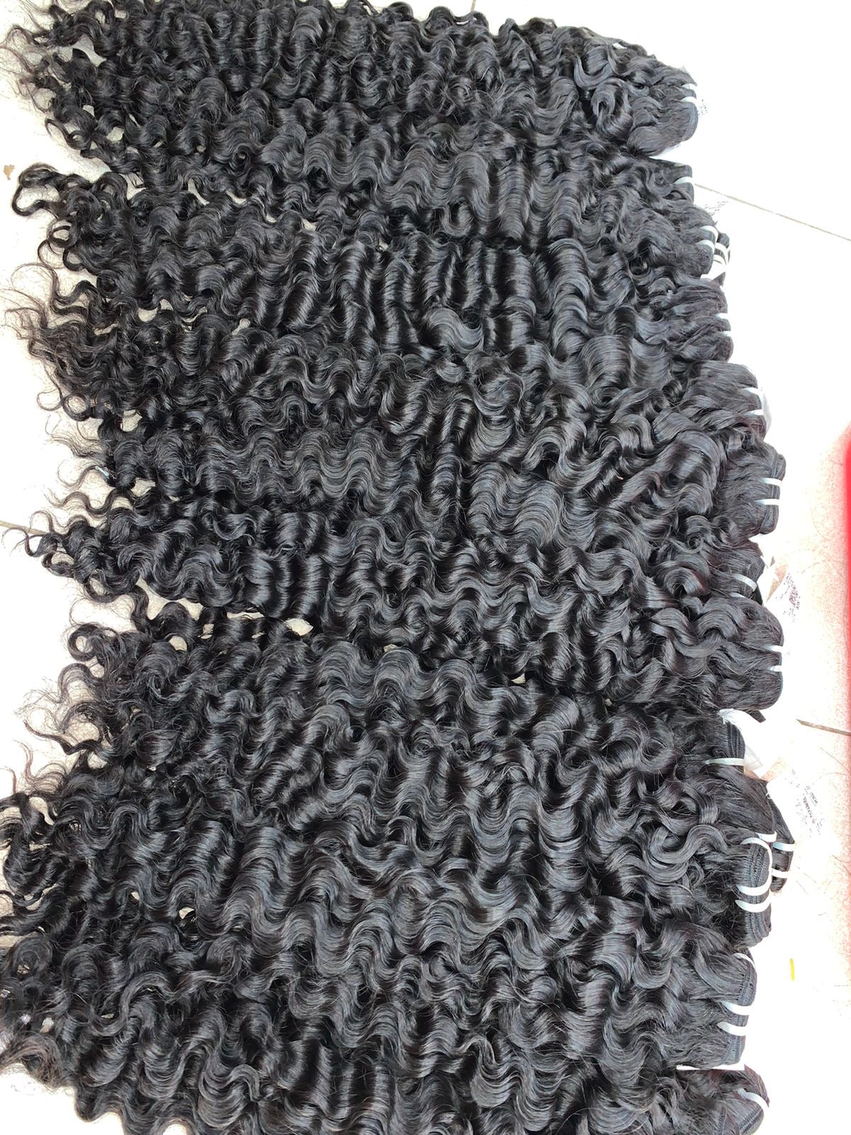 Burmese Curly